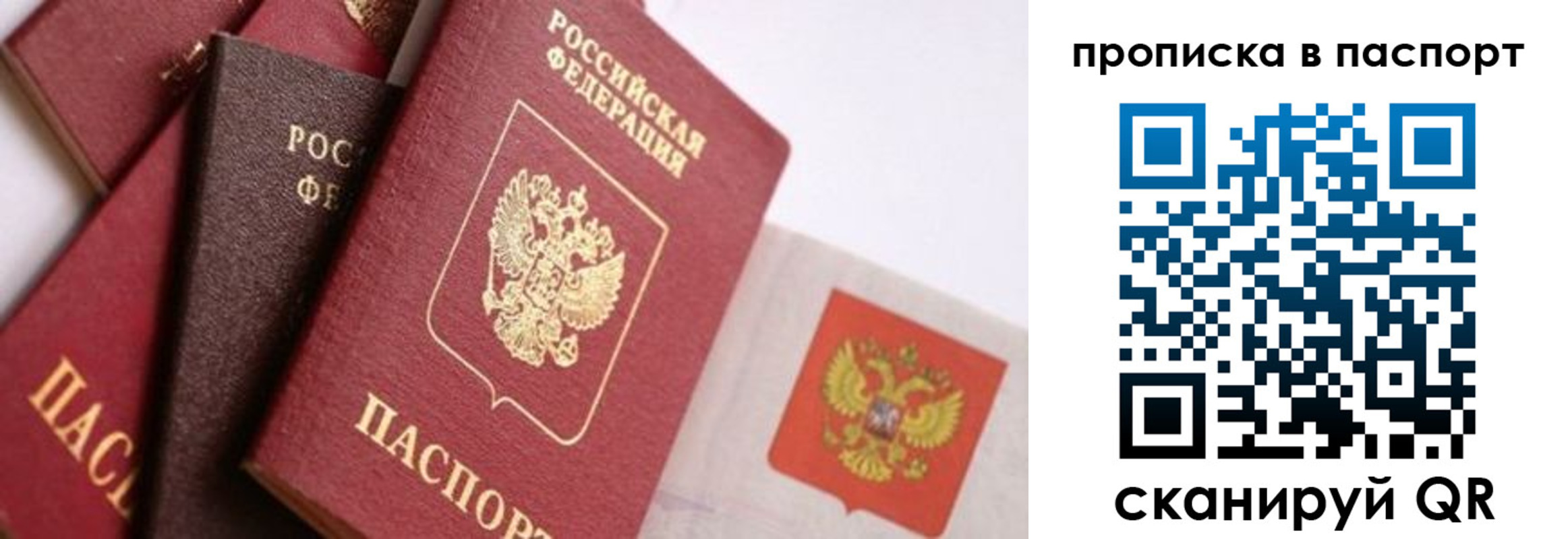 прописка штамп в Чехове